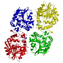 Image of CATH 4dm7