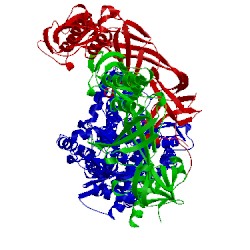 Image of CATH 4dnt