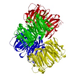 Image of CATH 4dnv