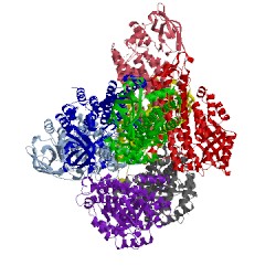 Image of CATH 4doy