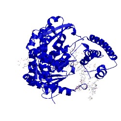 Image of CATH 4dqs