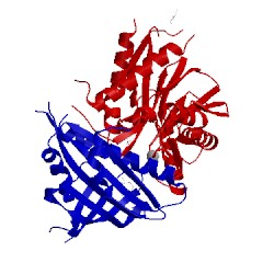 Image of CATH 4ds8