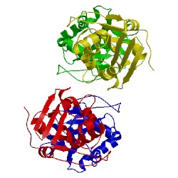 Image of CATH 4dsq