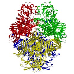 Image of CATH 4duw