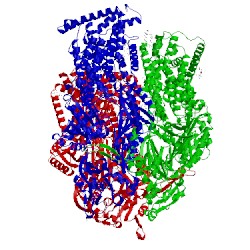 Image of CATH 4dx7