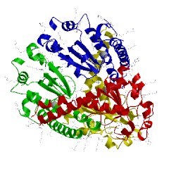 Image of CATH 4e4e