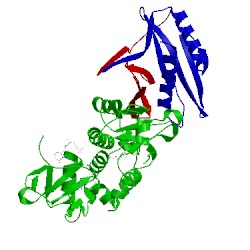 Image of CATH 4eai