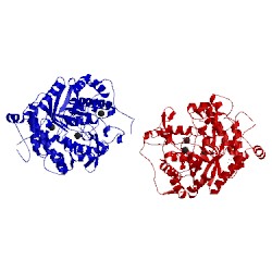 Image of CATH 4eam