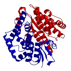 Image of CATH 4eci