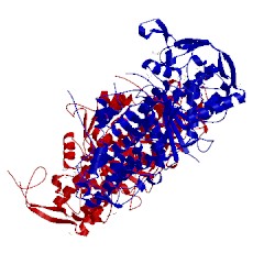 Image of CATH 4eg6