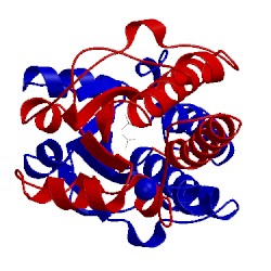 Image of CATH 4egs