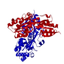 Image of CATH 4elq