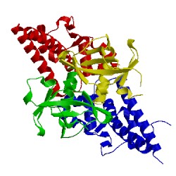 Image of CATH 4elz