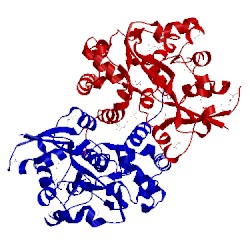 Image of CATH 4eq7