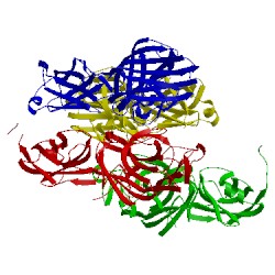 Image of CATH 4es9