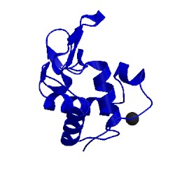 Image of CATH 4etd