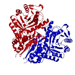 Image of CATH 4ewj