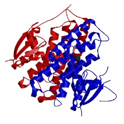 Image of CATH 4exj