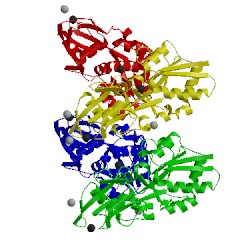 Image of CATH 4exl