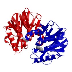 Image of CATH 4exy