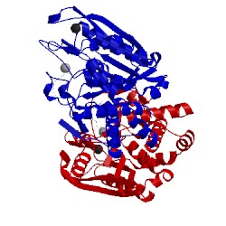 Image of CATH 4fai