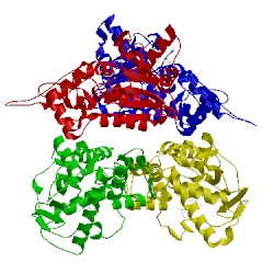 Image of CATH 4fbc