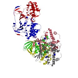 Image of CATH 4few