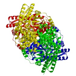 Image of CATH 4ffc