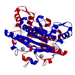 Image of CATH 4fgj