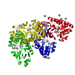 Image of CATH 4fil