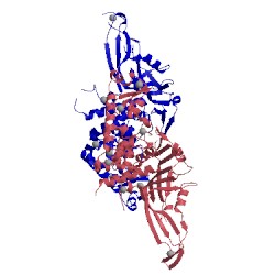 Image of CATH 4fjc