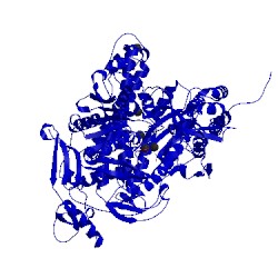 Image of CATH 4fjj