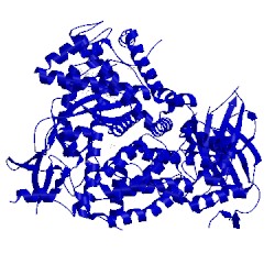 Image of CATH 4flh