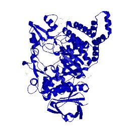 Image of CATH 4flq