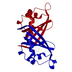 Image of CATH 4fnh