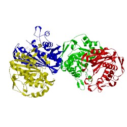 Image of CATH 4fog