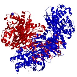 Image of CATH 4fpa