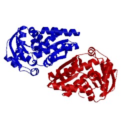 Image of CATH 4fq7