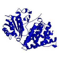 Image of CATH 4fr2