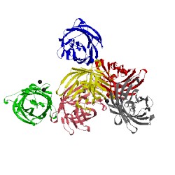 Image of CATH 4fvs