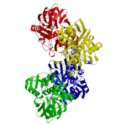 Image of CATH 4fw3