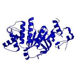 Image of CATH 4fwi