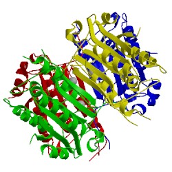 Image of CATH 4fxo