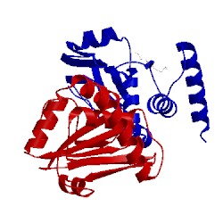 Image of CATH 4fyc