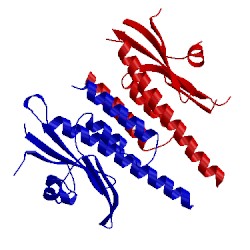 Image of CATH 4g3k