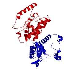 Image of CATH 4g6q