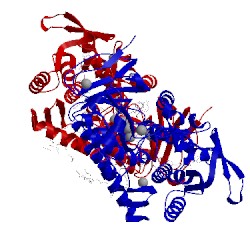 Image of CATH 4g73