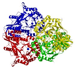 Image of CATH 4g8t