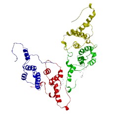 Image of CATH 4g93