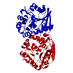 Image of CATH 4g9e